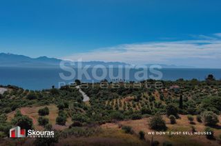 Οικόπεδο 7.419,97 τ.μ. για πώληση, Μεσσηνία, Πεταλίδι-thumb-5