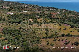 Οικόπεδο 7.419,97 τ.μ. για πώληση, Μεσσηνία, Πεταλίδι-thumb-20