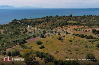 Οικόπεδο 7.419,97 τ.μ. για πώληση, Μεσσηνία, Πεταλίδι-thumb-16