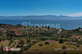 Οικόπεδο 7.419,97 τ.μ. για πώληση, Μεσσηνία, Πεταλίδι-thumb-19