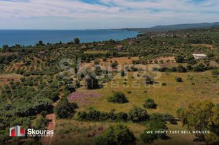 Οικόπεδο 7.419,97 τ.μ. για πώληση, Μεσσηνία, Πεταλίδι-thumb-14