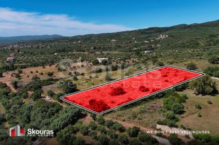 Οικόπεδο 7.419,97 τ.μ. για πώληση, Μεσσηνία, Πεταλίδι-thumb-7