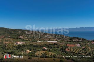 Οικόπεδο 7.419,97 τ.μ. για πώληση, Μεσσηνία, Πεταλίδι-thumb-3