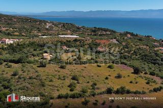Οικόπεδο 7.419,97 τ.μ. για πώληση, Μεσσηνία, Πεταλίδι-thumb-22
