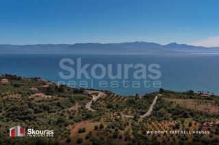 Οικόπεδο 7.419,97 τ.μ. για πώληση, Μεσσηνία, Πεταλίδι-thumb-1