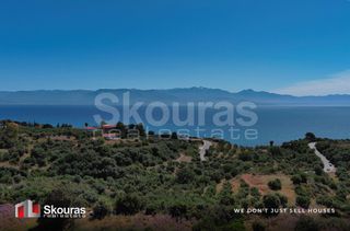 Οικόπεδο 7.419,97 τ.μ. για πώληση, Μεσσηνία, Πεταλίδι-thumb-4