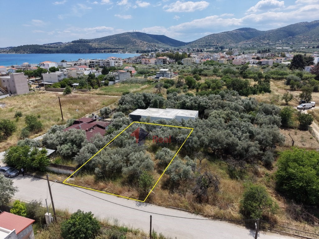 Οικόπεδο 338 τ.μ. πρός πώληση, Μαγνησία, Βόλος