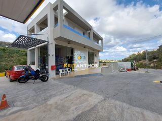 Επαγγελματικό 100 τ.μ. για ενοικίαση, Ν. Ρεθύμνου, Αρκάδι-thumb-2