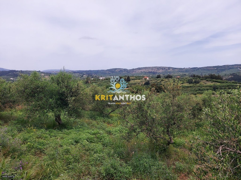 Αγροτεμάχια 1.765 τ.μ. προς πώληση, Βρύσες Κρυονερίδας