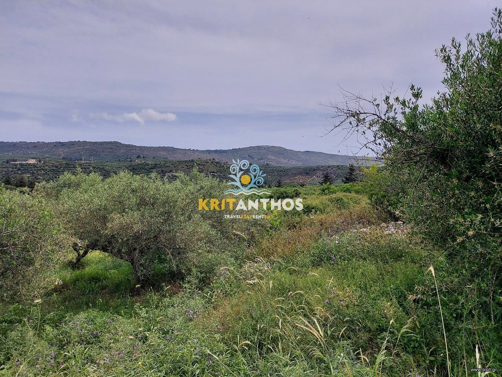 Αγροτεμάχια 1.765 τ.μ. προς πώληση, Βρύσες Κρυονερίδας