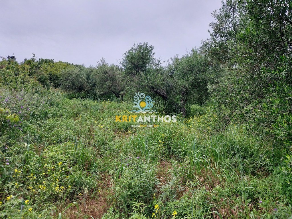 Αγροτεμάχια 1.765 τ.μ. προς πώληση, Βρύσες Κρυονερίδας