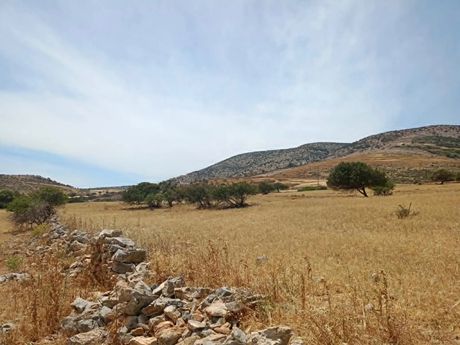 Οικόπεδο 26.000 τ.μ. για πώληση
