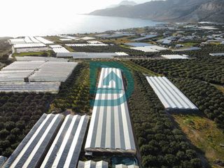 Αγροτεμάχια 4.000 τ.μ. προς πώληση, Γούδουρας-thumb-1