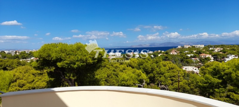 Μονοκατοικία 500 τ.μ. προς πώληση, Αλυκή Αρτέμιδας