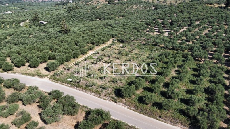Οικόπεδο 1.728 τ.μ. προς πώληση, Άγιοι Πάντες Φρε