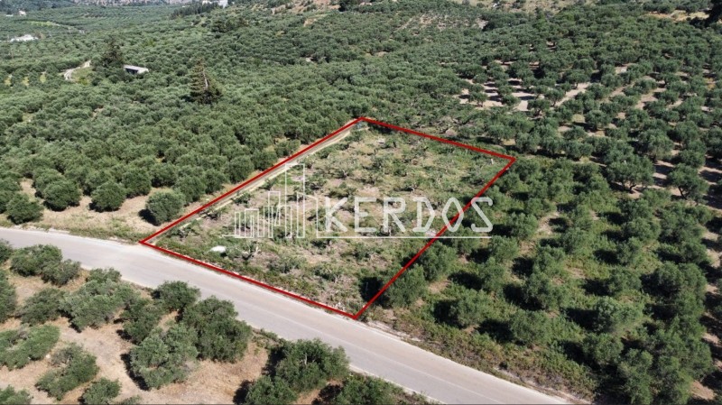 Οικόπεδο 1.728 τ.μ. προς πώληση, Άγιοι Πάντες Φρε