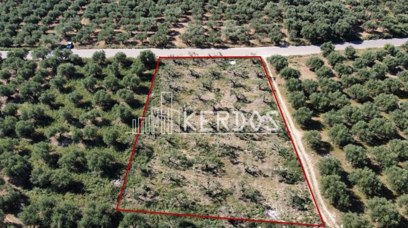 Οικόπεδο 1.728 τ.μ. προς πώληση, Άγιοι Πάντες Φρε