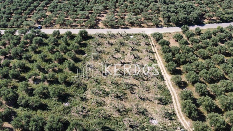 Οικόπεδο 1.728 τ.μ. προς πώληση, Άγιοι Πάντες Φρε