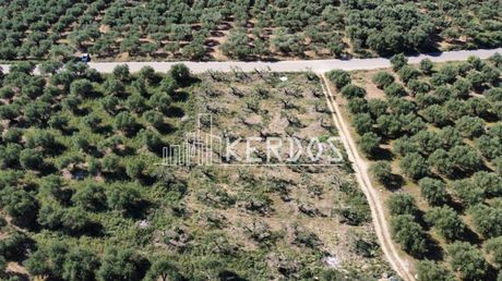 Οικόπεδο 1.728 τ.μ. προς πώληση