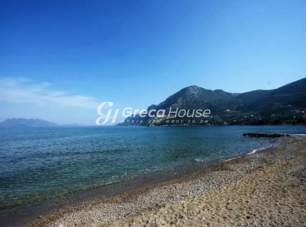 Οικόπεδο 15.000 τ.μ. προς πώληση, Αργολίδα, Επίδαυρος