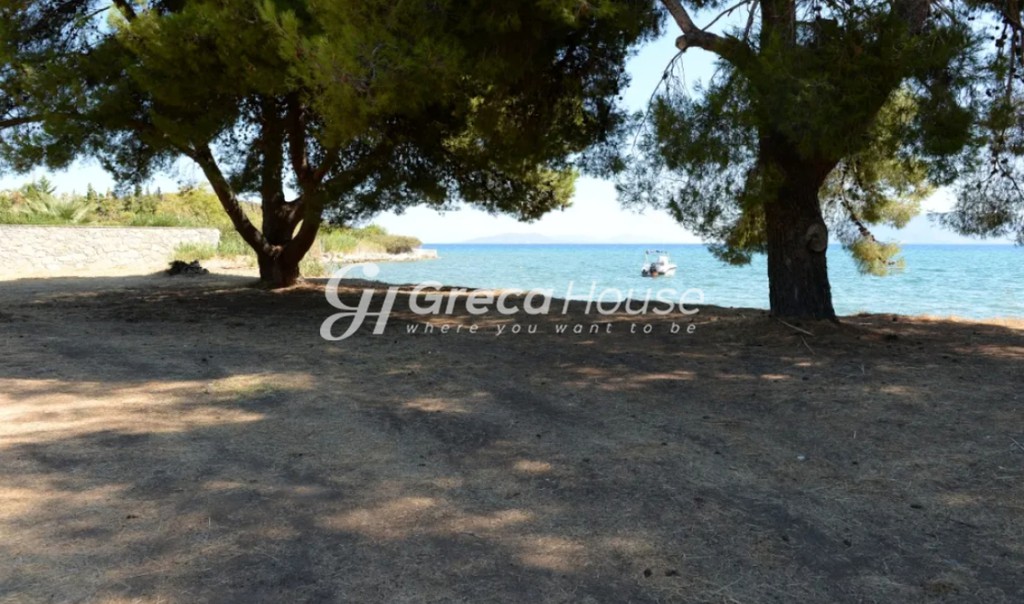 Οικόπεδο 15.000 τ.μ. προς πώληση, Αργολίδα, Επίδαυρος