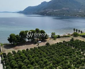 Οικόπεδο 15.000 τ.μ. για πώληση