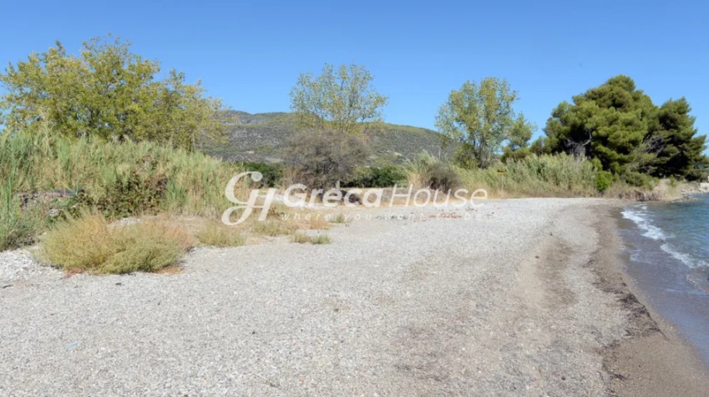 Οικόπεδο 15.000 τ.μ. προς πώληση, Αργολίδα, Επίδαυρος
