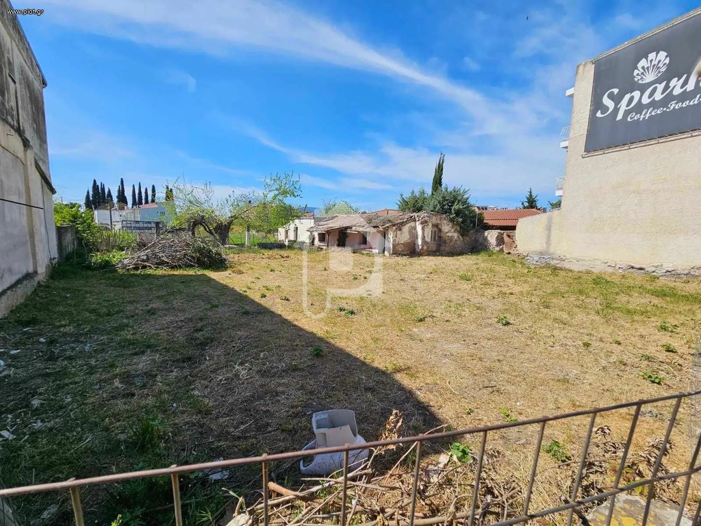 Οικόπεδο 750 τ.μ. προς πώληση, Ψαχνά