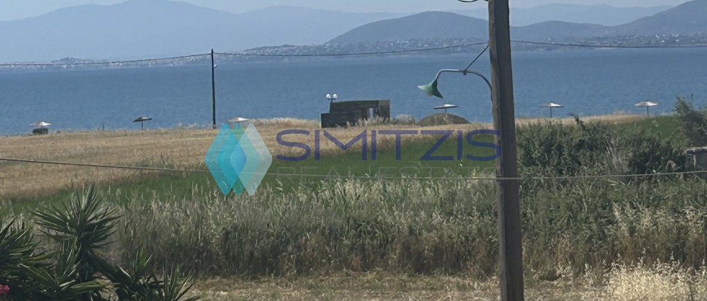 Μονοκατοικία 160 τ.μ. πρός πώληση, Εύβοια, Μεσσαπία