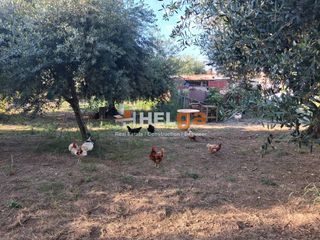 Οικόπεδο 404 τ.μ. για πώληση