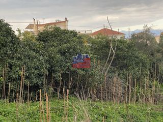 Οικόπεδο 393 τ.μ. για πώληση