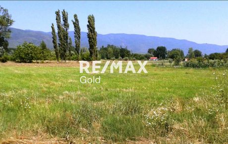 Land 4.500 sqm for rent