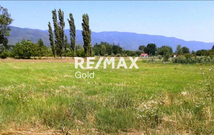 Other 4.500 sqm for rent, Thessaloniki - Suburbs, Evosmos