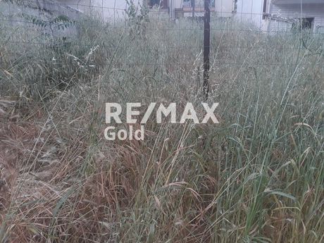Αγροτεμάχια 4.830 τ.μ. για πώληση