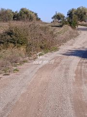 Αγροτεμάχια 5.000 τ.μ. για πώληση