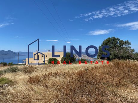 Οικόπεδο 1.000 τ.μ. πρός πώληση