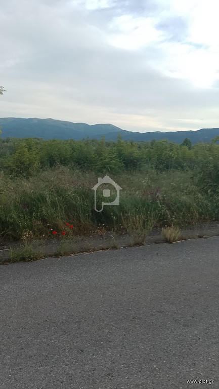 Οικόπεδο 1.000 τ.μ. προς πώληση, Κατερίνη