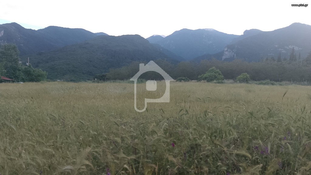Οικόπεδο 1.000 τ.μ. προς πώληση, Μονή Αγίου Διονυσίου