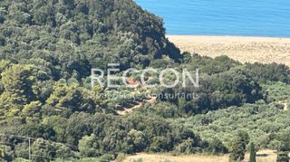 Αγροτεμάχια 6.626 τ.μ. για πώληση, Μεσσηνία, Αυλώνα-thumb-1
