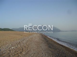 Αγροτεμάχια 6.626 τ.μ. για πώληση, Μεσσηνία, Αυλώνα-thumb-3