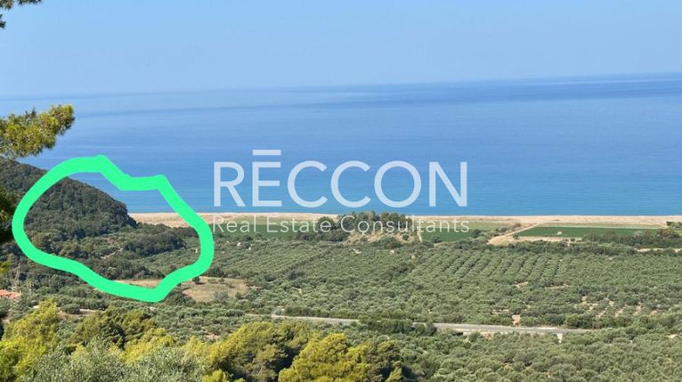 Αγροτεμάχια 6.626 τ.μ. για πώληση, Μεσσηνία, Αυλώνα