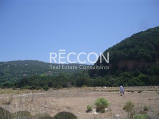 Αγροτεμάχια 6.626 τ.μ. για πώληση, Μεσσηνία, Αυλώνα-thumb-6