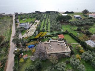 Αγροτεμάχια 4.000 τ.μ. για πώληση