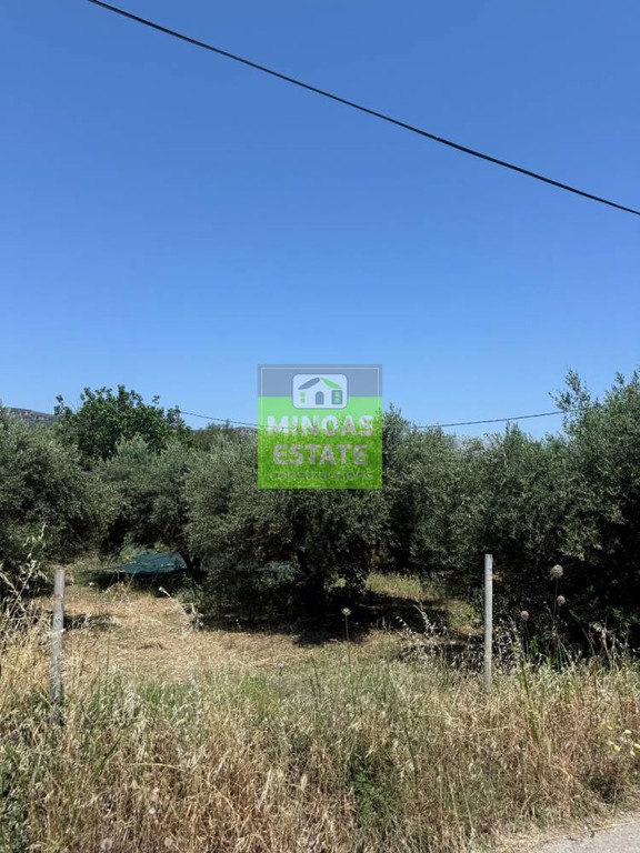 Οικόπεδο 455 τ.μ. προς πώληση, Άγιος Αντώνιος Κισσάμου