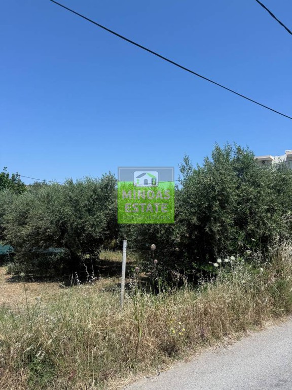 Οικόπεδο 455 τ.μ. προς πώληση, Άγιος Αντώνιος Κισσάμου