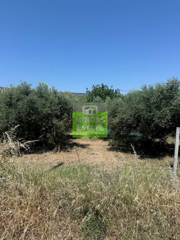 Οικόπεδο 455 τ.μ. προς πώληση, Άγιος Αντώνιος Κισσάμου