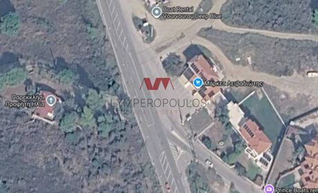 Αγροτεμάχια 4.300 τ.μ. πρός πώληση