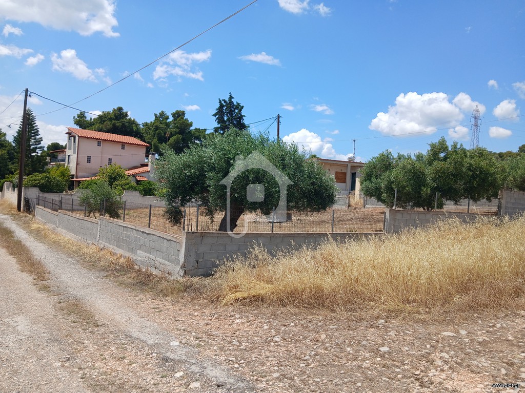 Αγροτεμάχια 500 τ.μ. προς πώληση, Κέντρο Αγίων Θεοδώρων