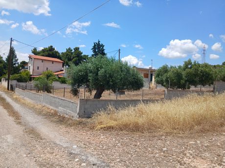 Αγροτεμάχια 500 τ.μ. προς πώληση