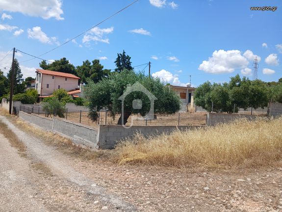 Parcel 500 sqm for sale, Corinthia, Agioi Theodoroi